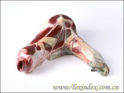 �i�����ļҾ���Ʒ�������