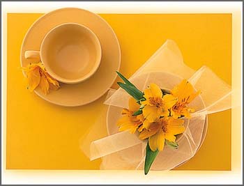 �ɐ�(��i)�;�׌С�Y�Ĵˑ��ϏN