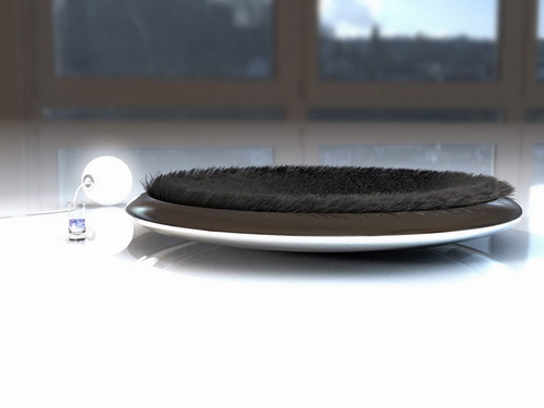 ���͹֮��ĳ��F��(sh��)���x����