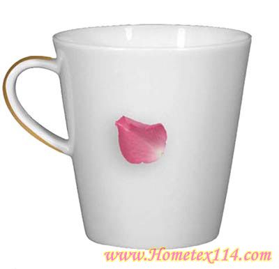 �����һ��t�����Ĳ;�������