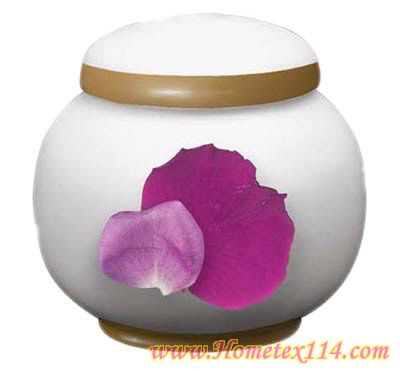 �����һ��t�����Ĳ;�������