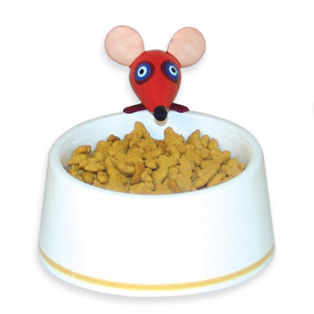 8��ɐ�(��i)�o(w��)����؈؈ʳ�胺