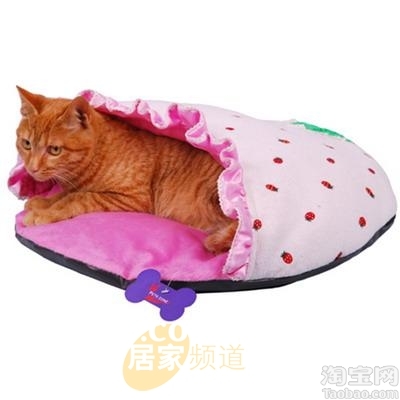 �Ҿӿɐ�(��i)��ݮС��