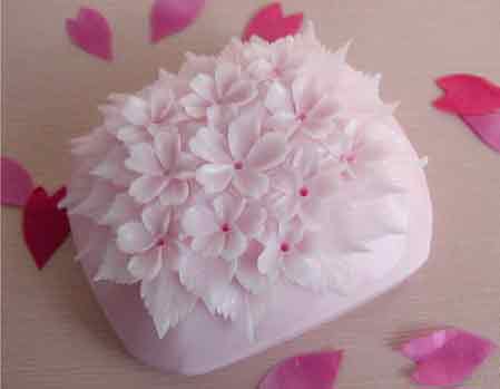 �ɐ�(��i)�����⣺���������������