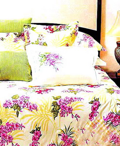 ����x��(sh��)���֌�(sh��)�ô�����Ʒ