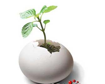 �õ�����(chu��ng  )�����(j��ng)��Ҿ��Ʒ