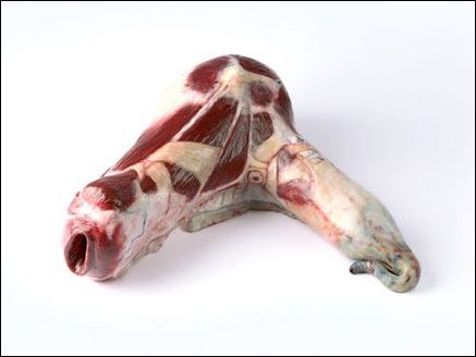 �в����i�����ļҾ���Ʒ