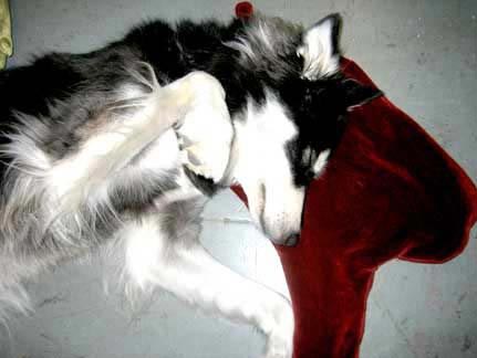 ��(chu��ng  )���OӋ��Ѫ���^��ɢѪ��