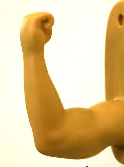 �������(l��i)��ʮ��(chu��ng  )��Ҿ�