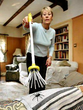 �������(l��i)��ʮ��(chu��ng  )��Ҿ�