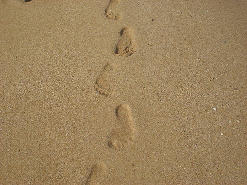 ʩ�����������΄�(chu��ng  )�I(y��)�ɹ���