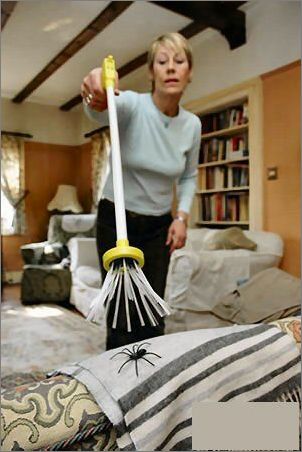 ��Ԏ����ʮ��(chu��ng  )��Ҿ���Ʒ