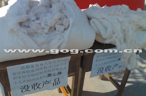 ���˶Ž^������ �W(xu��)УӲҪ�I(m��i)�������ס���