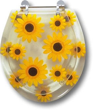 �RͰ�w�󼯺Ͽɐ�(��i)or�֮�