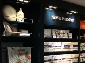 ϲ��(l��i)�ǌ�(zhu��n)�u(m��i)��չʾ