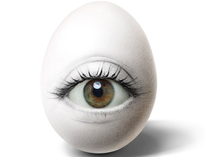 ���᣺�u����(chu��ng  )����Ʒ���p