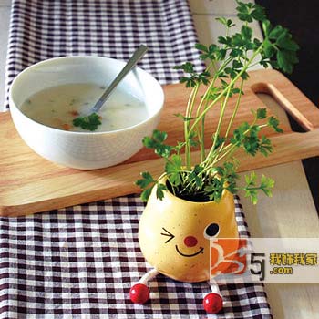 ��(chu��ng  )��N��С�Ʒ�o������c(di��n)�ϣ�һ��