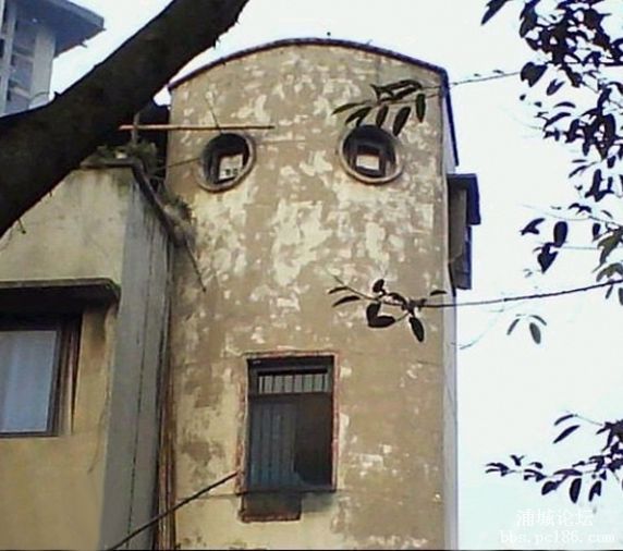 �W(w��ng)�ѱ������˵ġ��塱�Ƿ�