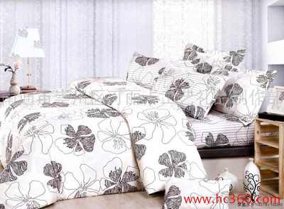 2010���мҼ���Ʒ�ļ���