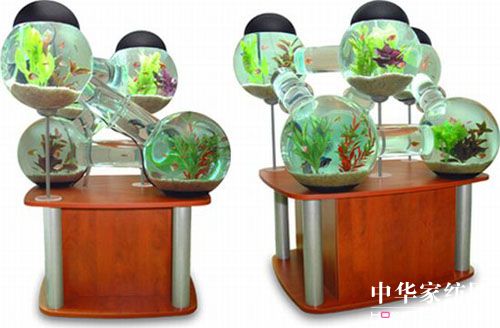 ����������Ą�(chu��ng  )���~(y��)��