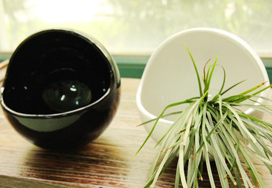 �����ɡ����˄�(chu��ng  )�⡱�մɻ�ƿ