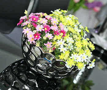 ���߽��ĵĄ�(chu��ng  )��䳲��ʳ�P(p��n)