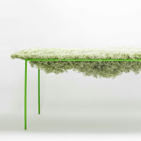 ��(chu��ng  )��DIY ���侎����������