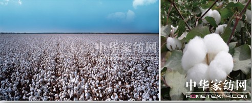 ���N�������N(xi��o)��һ�w�� ��(chu��ng  )����Ҽ��wϵ