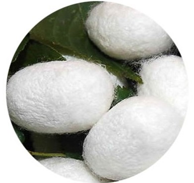 3��15����Ҽ����Є�(d��ng) �b�e�Q�z��