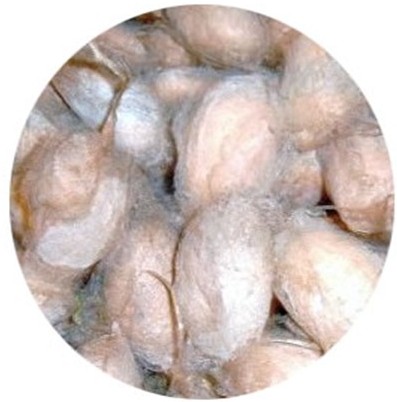 3��15����Ҽ����Є�(d��ng)�b�e�Q�z��