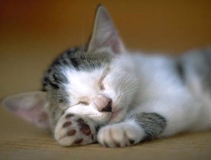 �H�������˯һС�r(sh��)����