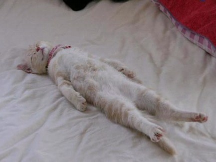 �H�������˯һС�r(sh��)����