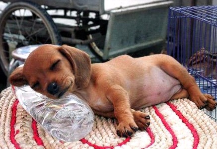 �H�������˯һС�r(sh��)����