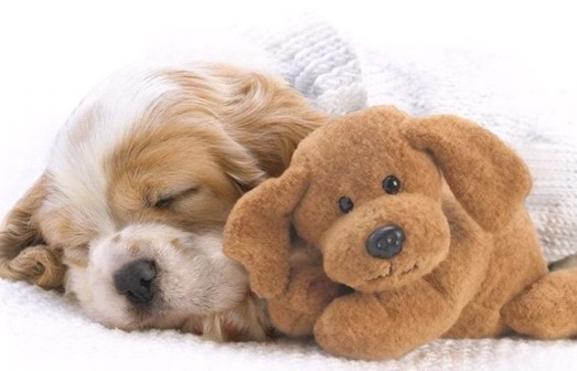 �H�������˯һС�r(sh��)����