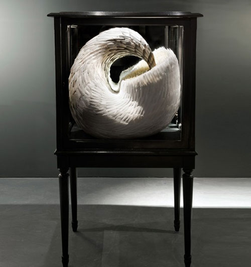 ��(chu��ng  )�����}����(d��ng)ϵ����ë����