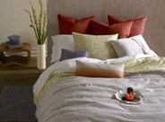 ����z2012����̫ƽ��ϵ��տ�{�ǈ�(ch��ng)