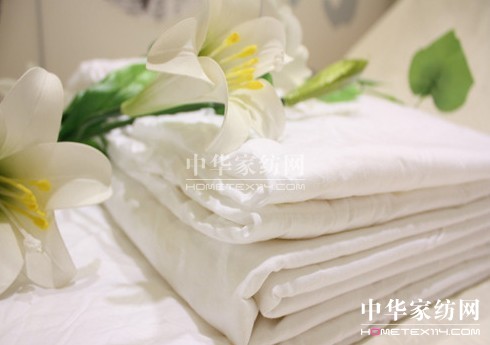 �Q�z����������