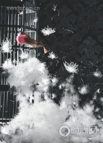 �����w�|(zh��)�x�����_��q����һ��