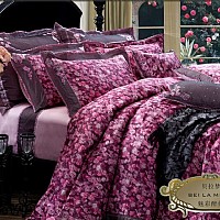 ؐ����(m��ng)