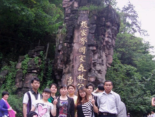 ���m�M����(y��u)��T���������M(j��n)�F�������