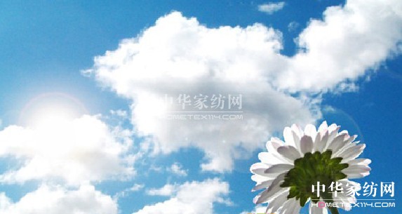 ���z�Ҽ� ʢ�Ŀ���Ī���B��