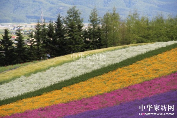 ����Ҽ���푡���(��i)�ڲ��������ϱ����������(d��ng)������