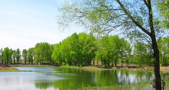 �W�ɼҼ����Һʹ����Ђ�(g��)�s��(hu�� )