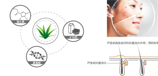 �{Ʒ�Ƽ�������Ȼ���B������