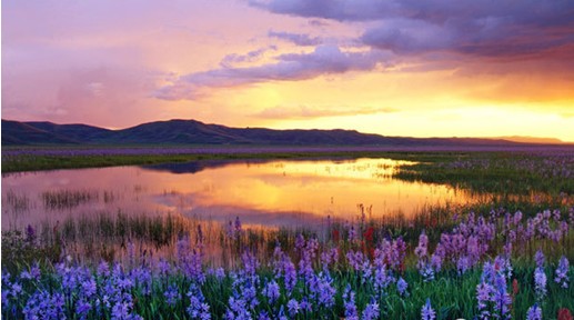 �W�ɼҼ����c����s����������