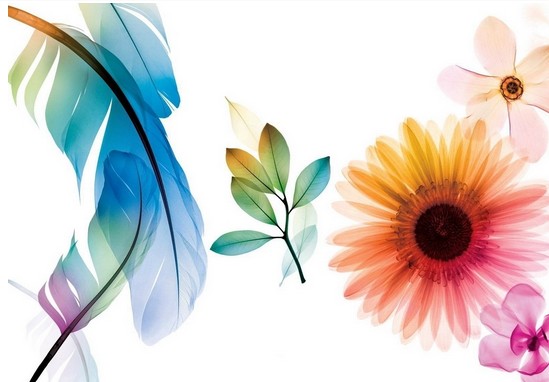 �Ҽ���I(y��)��Ώ�