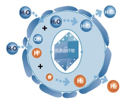 �{Ʒ�Ƽ���Ů�ԼҼ������o����