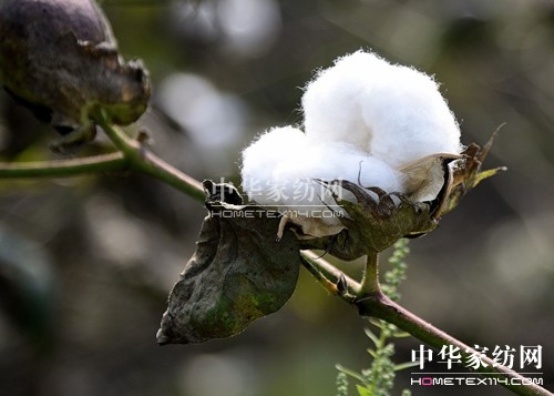 �Ҽ����R��������Ʒ�����c(di��n)