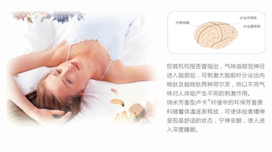 �{Ʒ�Ƽ���õ�巼���w�S����������c�Ҽ����x