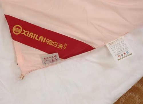 5�·��Ԍ���؈�Ҽ��N(xi��o)��ǰʮ�� ϲ�Ձ�(l��i)�Ҽ�����W(w��ng)ُ����